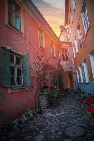 curso de idiomas de estonio