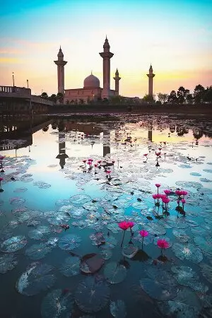 curso de idiomas de malayo