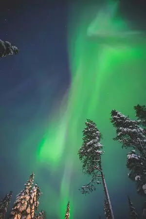 curso de língua de sueco