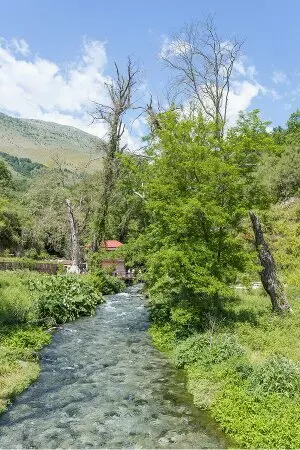 aprender albanês online