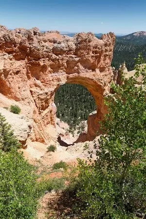 aprender inglês americano online