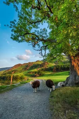 aprender inglês britânico online