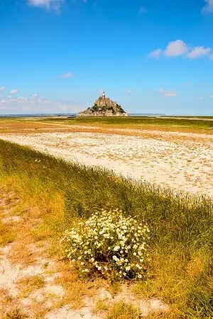 aprender francês online