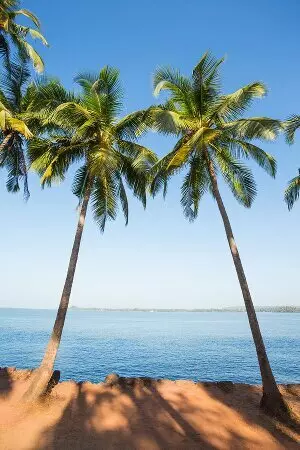 aprender hindi online