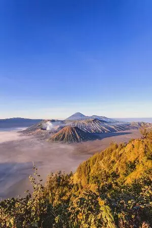 aprender indonésio online