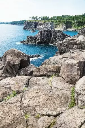 aprender coreano online