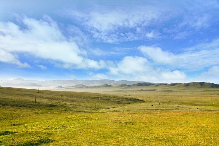 Mongolisch lernen mit Superlearning