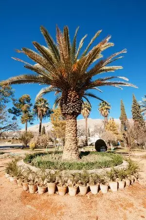 aprender persa online