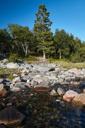 aprender ruso online