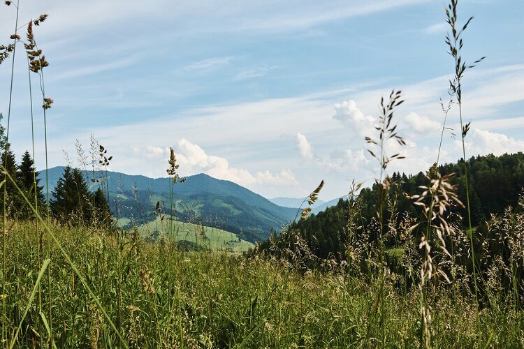 Slowakisch lernen mit Superlearning