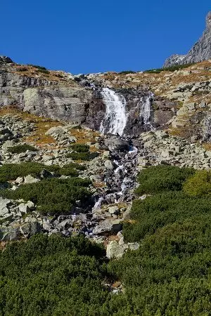 словацкий для начинающих