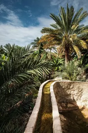 aprender árabe sírio online