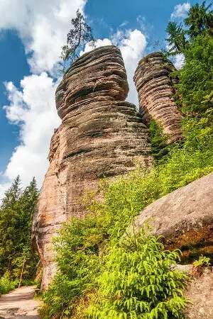 aprender checo online