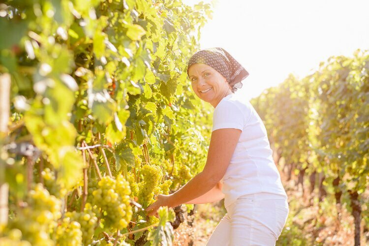 Ungarisch lernen mit Superlearning