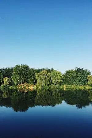 aprender húngaro online