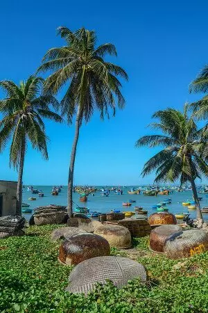 Online Vietnamca Öğrenin