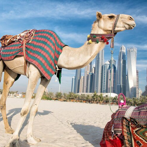 arabisch grammatik online lernen