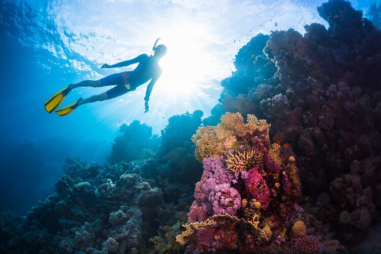 Arabisch Fachwortschatz mit über 2.100 Vokabeln