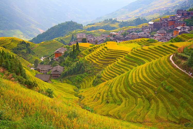Chinesisch für Fortgeschrittene mit 1.800 neuen Vokabeln