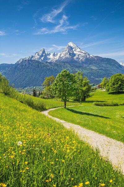 Deutsch für Anfänger