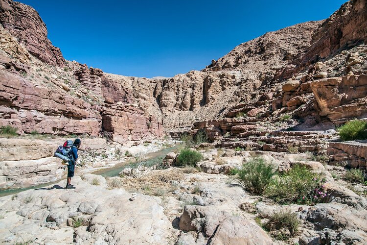 Jordanisch für Fortgeschrittene mit 1.800 neuen Vokabeln