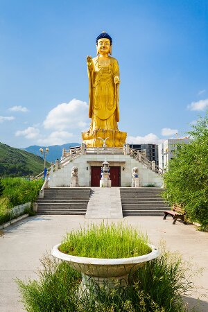Fachwortschatz-Vokabeltrainer für Mongolisch