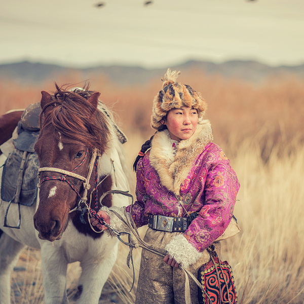 Demoversion Fortgeschrittenenkurs Mongolisch