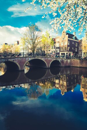 Fachwortschatz-Vokabeltrainer für Niederländisch