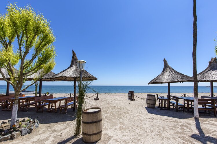 Rumänisch Fachwortschatz mit über 2.100 Vokabeln