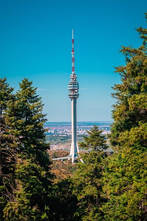 Fachwortschatz-Vokabeltrainer für Serbisch