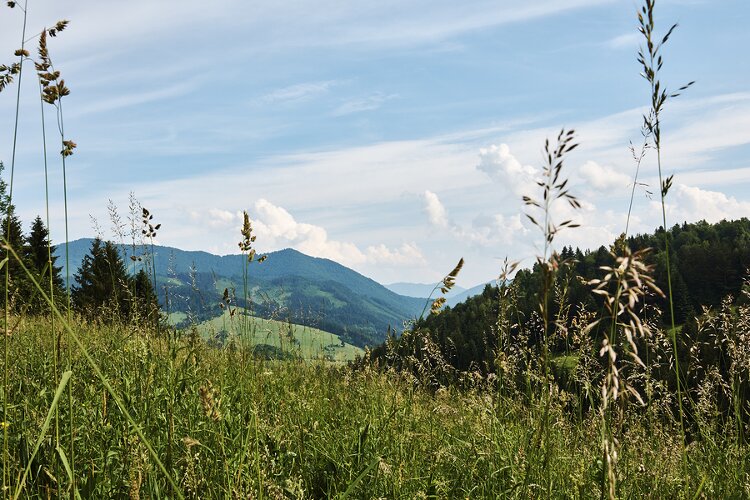Slowakisch für Fortgeschrittene mit 1.800 neuen Vokabeln