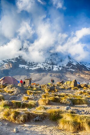 Fachwortschatz-Vokabeltrainer für Suaheli