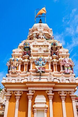 Fachwortschatz-Vokabeltrainer für Tamil