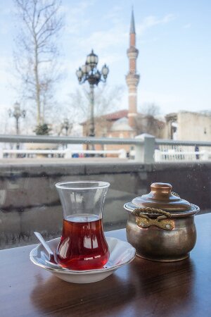 Fachwortschatz-Vokabeltrainer für Türkisch