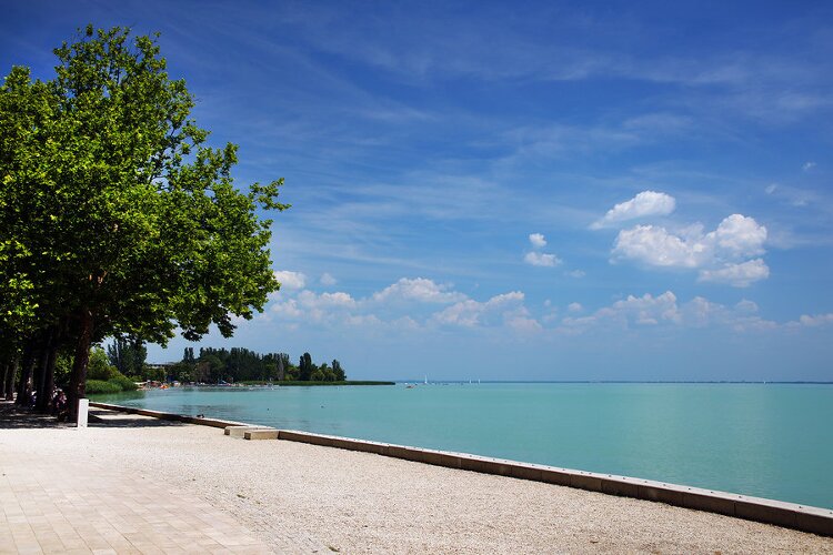 Ungarisch Fachwortschatz mit über 2.100 Vokabeln