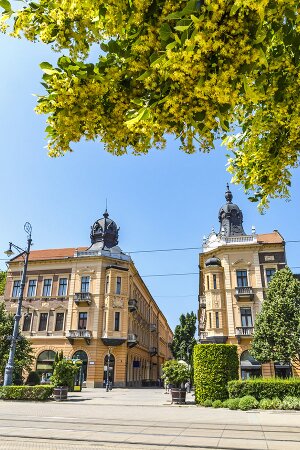 Fachwortschatz-Vokabeltrainer für Ungarisch