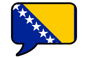 Bosnischkurs